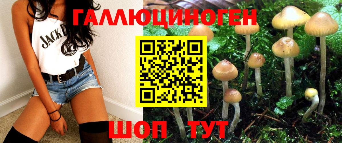 Гусиноозёрск  Псилоцибиновые грибы Psilocybine cubensis  магазин продажи   Вход с VPN 